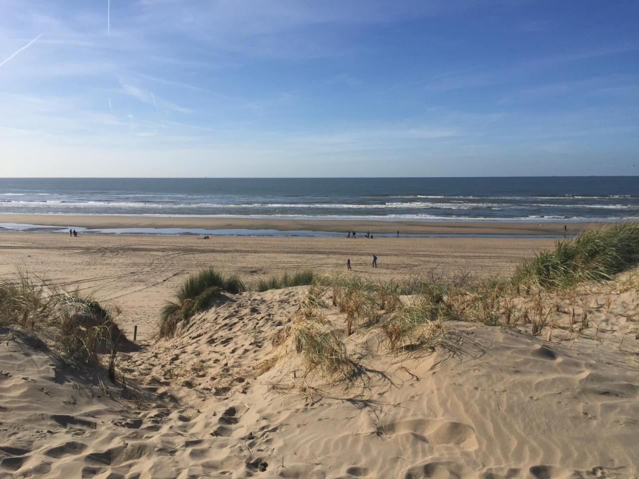 Duynsandt Zandvoort Exteriér fotografie
